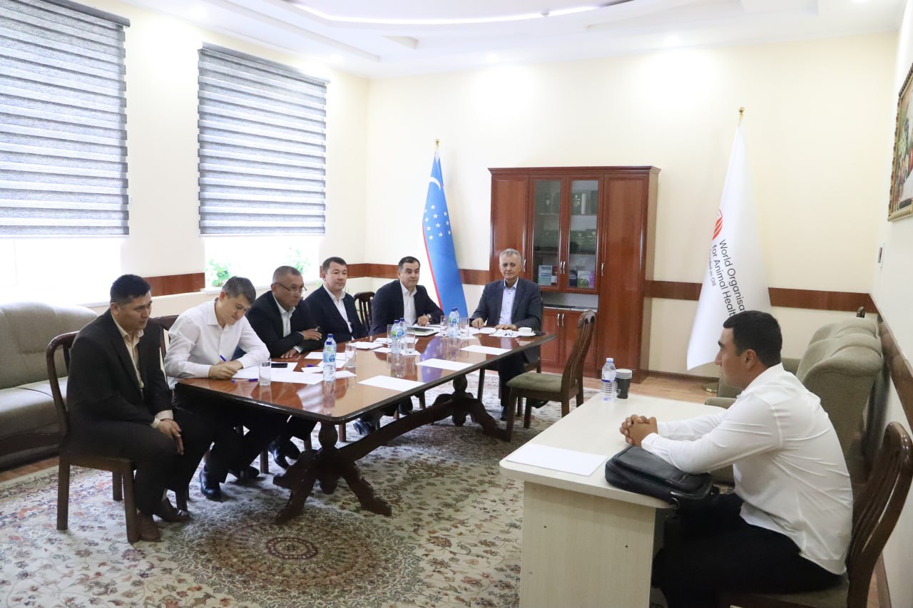 Qo‘shma ta’lim dasturi abituriyentlari uchun suhbat imtihonlari davom etmoqda